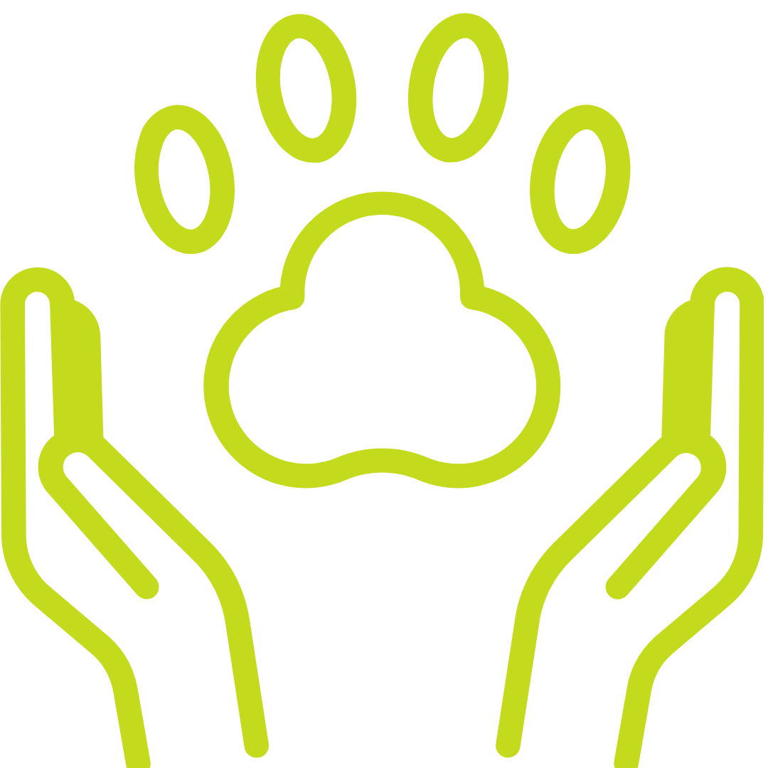 26OL39. LA NUEVA LEY 07/2023 DE PROTECCIÓN DE LOS DERECHOS Y EL BIENESTAR DE LOS ANIMALES, COMPETENCIAS MUNICIPALES